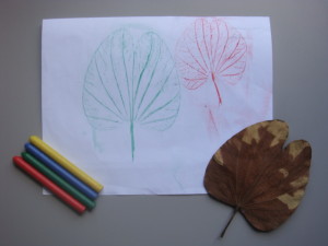 arte com folhas