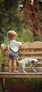 Fotos de crianças e animais de estimação